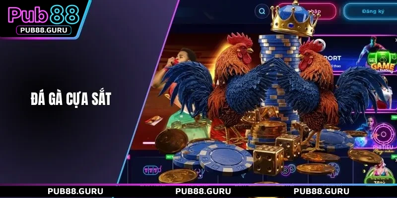 Đá gà cựa sắt
